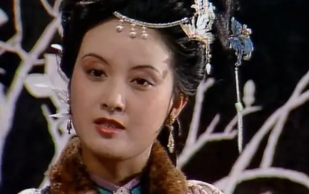 净虚师太为何敢公然叫板荣国府，对王熙凤威逼利诱？（干货满满） 第1张