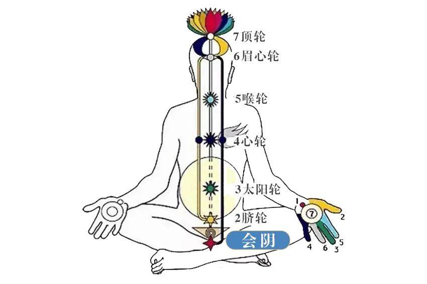灸身体一处“铁扇门”好处数不尽，调生殖功能作用最强  灸身体 调生殖功能 第1张