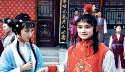 花袭人为何对王夫人安排自己成为实习姨娘怀恨在心？（难以置信） 第3张