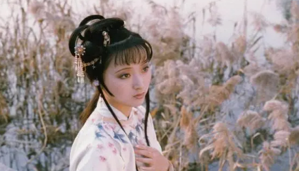 面对薛姨妈在自己的伤口上撒盐一事，林黛玉如何反击？（快来看） 第3张