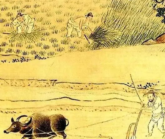 古代地广人稀粮食不够吃 古人为何不去开荒种地（快来看） 第5张