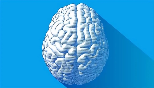 人的大脑为何如此巨大？原来不是为了吃 人的大脑为何如此巨大 第1张