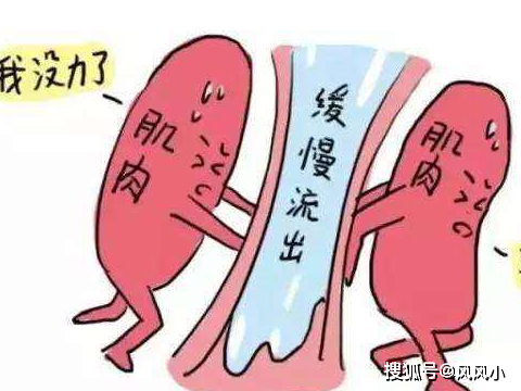 为什么有些女性一咳嗽就会漏尿？原来是这些原因造成的，早知早好  女性咳嗽漏尿 第2张