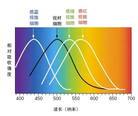 英国国王肖像画引热议：其实查尔斯自己第一眼看到也惊了 英国国王肖像画引热议 第4张