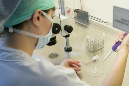 什么人可以选择试管婴儿？做试管婴儿为什么要进行染色体检查？  试管婴儿 第1张