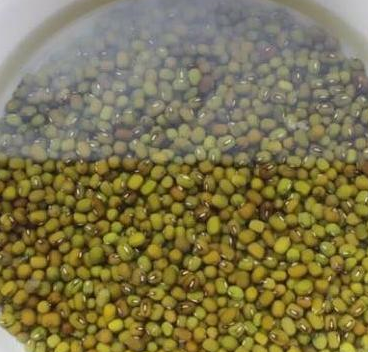 夏天喝绿豆粥，要记住这3个“不要”！特别是最后一个“不要”！  绿豆粥 第3张