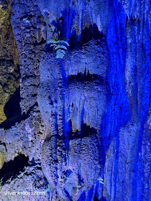 联发科联手Discovery探索频道拍大片：天玑9300系列的影像 强到无法想象 联发科 Discovery 探索频道 第45张