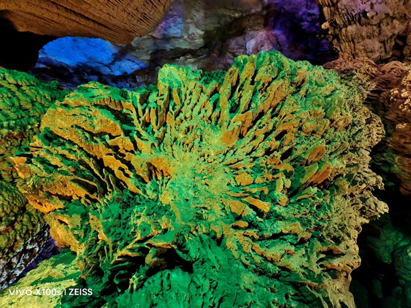 联发科联手Discovery探索频道拍大片：天玑9300系列的影像 强到无法想象 联发科 Discovery 探索频道 第43张