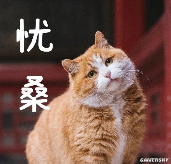 御猫也得做身材管理：故宫猫减肥备战猫王大赛 御猫 身材管理 第1张