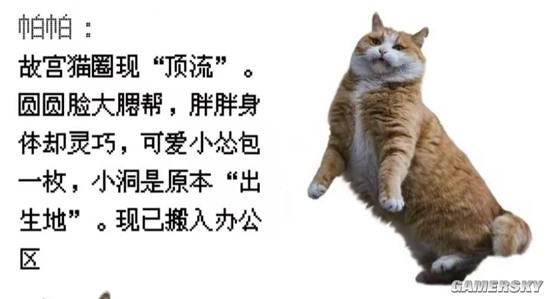 御猫也得做身材管理：故宫猫减肥备战猫王大赛 御猫 身材管理 第3张