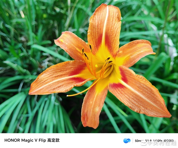 买一个荣耀Magic V Flip是一种什么体验！ 荣耀Magic Flip 第15张