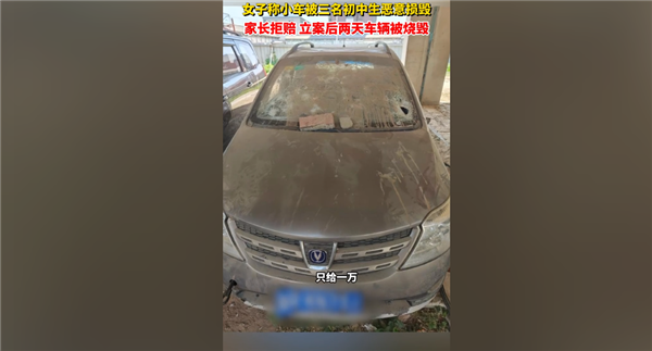 4名初中生故意砸车家长拒绝赔偿车还被恶意烧毁：网友喊话应严惩 故意砸车 第1张