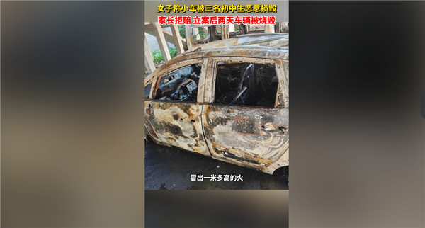 4名初中生故意砸车家长拒绝赔偿车还被恶意烧毁：网友喊话应严惩 故意砸车 第2张