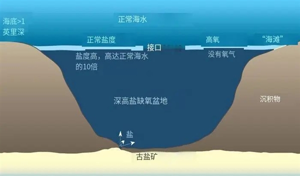 可怕的海底湖泊了解一下，掉进去就死定了！ 海底湖泊 第8张