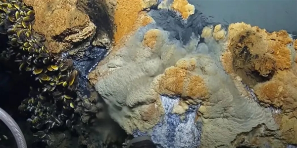 可怕的海底湖泊了解一下，掉进去就死定了！ 海底湖泊 第6张