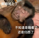 印度老哥被当成浮尸在水里漂了5个小时 捞起来后发现他... 水里漂了5个小时 第6张