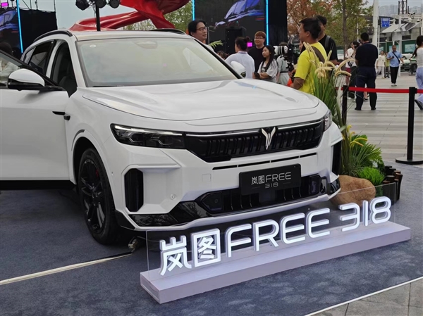岚图FREE 318上市，和小米SU7一个价，你怎么选！ 318 第5张