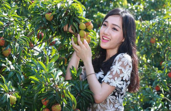 荔枝不但营养丰富，还可以养颜美肤，但是有一类人吃荔枝要谨慎  荔枝 第1张