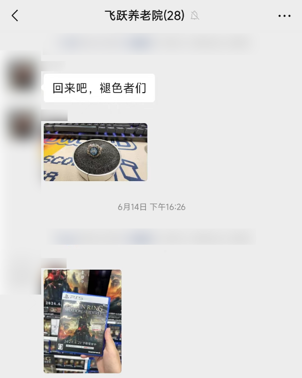 万众瞩目的《艾尔登法环》DLC被喷成筛子 这游戏真这么烂么 艾尔登法环 第1张