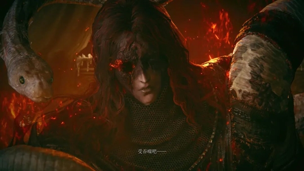 万众瞩目的《艾尔登法环》DLC被喷成筛子 这游戏真这么烂么 艾尔登法环 第40张