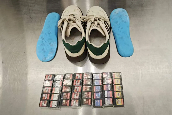 旅客藏匿120张Switch游戏卡进境被查获 只因确认了一下眼神 Switch游戏卡 第1张
