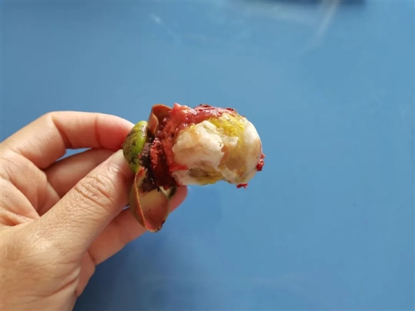 “果中皇后”山竹 虽然好吃但营养价值一般 热量还很高 山竹 第6张