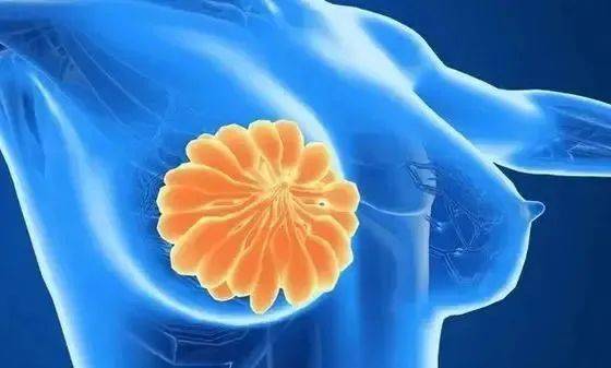 重庆医科大学发文：揭示乳腺癌获得性耐药新机制  重庆医科大 乳腺癌 第1张