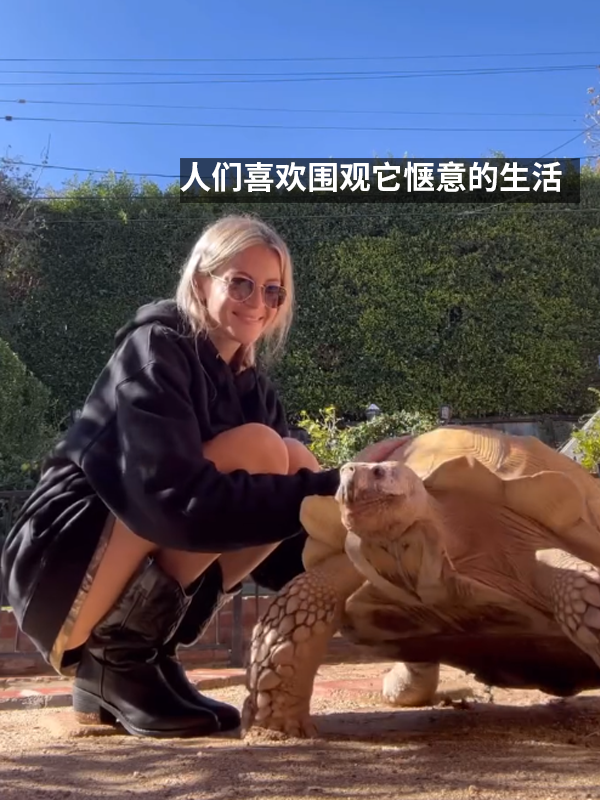 小姐姐养了20多年的龟龟成了大网红！网友：感觉它能送走几代人 乌龟 网红 第6张