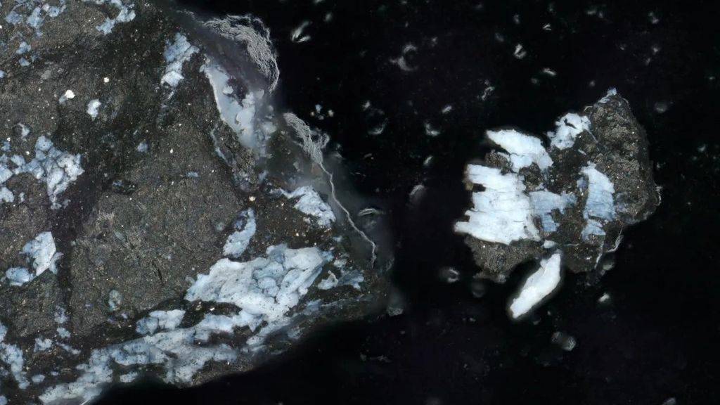 “贝努”小行星新发现：含生命所需关键成分、源于古老海洋世界  小行星 生命成分 古老海洋 第1张