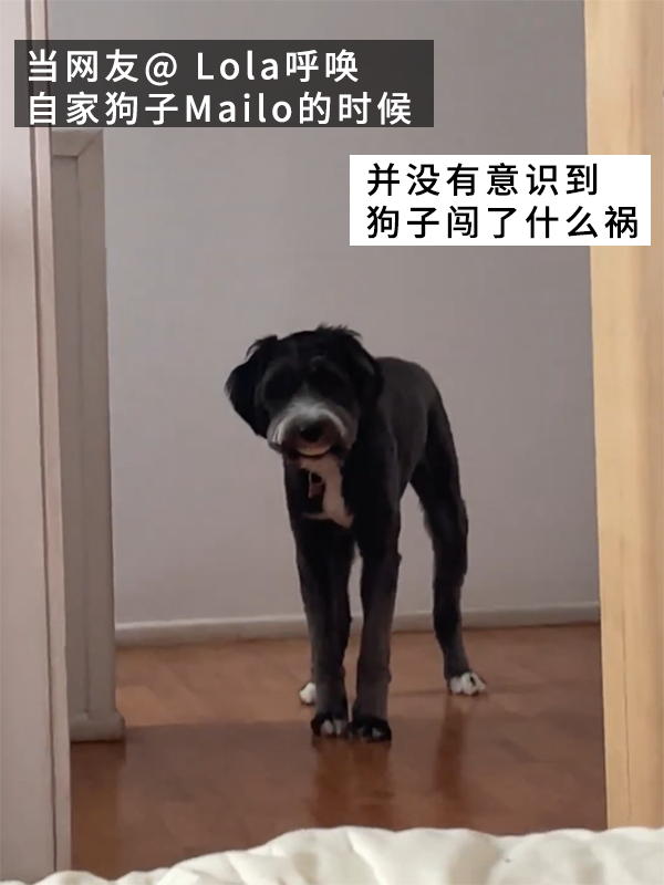 当狗子偷偷戴上主人的假牙，喜剧感充满屏幕！ 狗子戴上主人的假牙 第2张