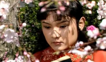 贾宝玉和二十四两银子的故事中，谁是必不可少的主角？（万万没想到） 第1张