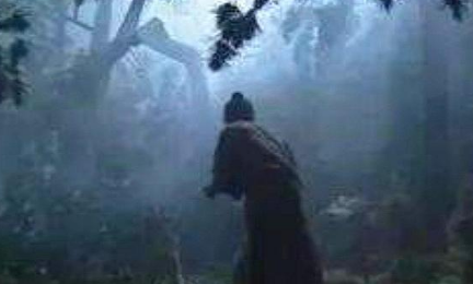 鲁智深如果碰到景阳冈的老虎，会如同武松那样吗？（奔走相告） 第2张