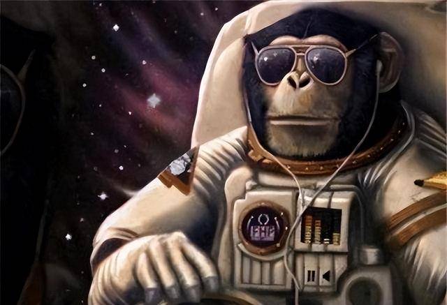 60多年前，美国人将一只黑猩猩送上太空，回到地球后身体出现异常  黑猩猩送上太空 第14张