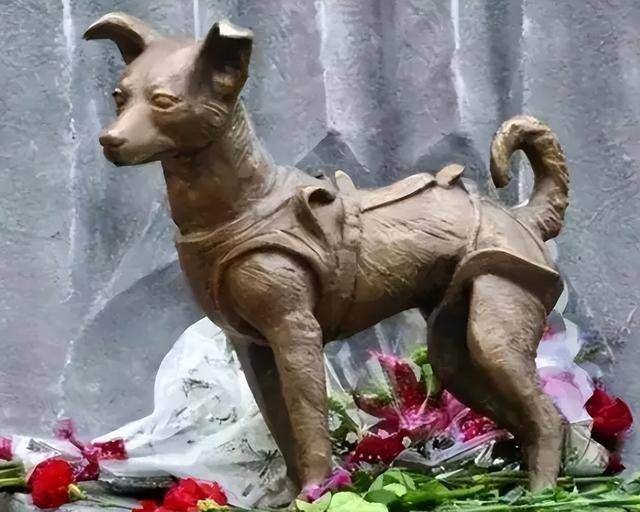 60多年前，美国人将一只黑猩猩送上太空，回到地球后身体出现异常  黑猩猩送上太空 第25张