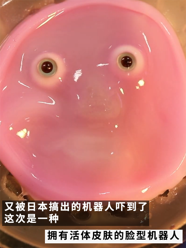 还得是日本！给机器人做了一张“人皮”：这鬼畜微笑过于瘆人 机器人 第2张