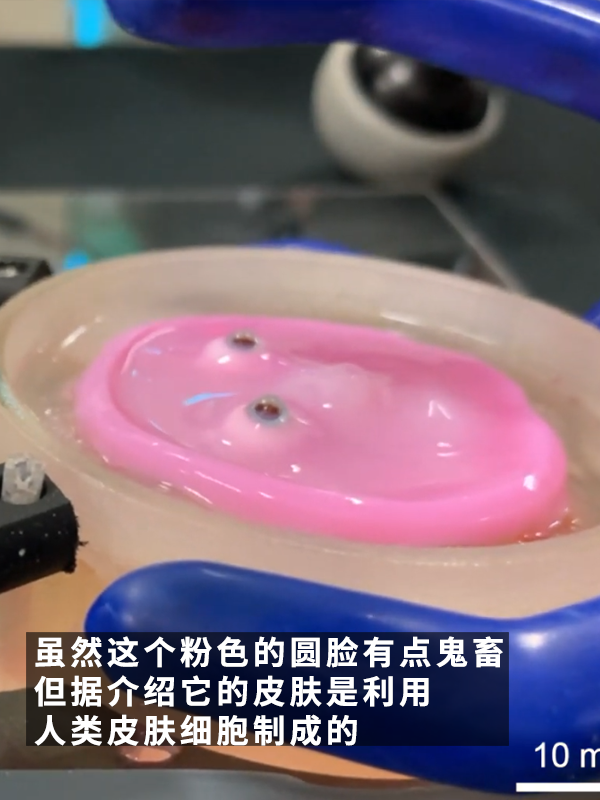 还得是日本！给机器人做了一张“人皮”：这鬼畜微笑过于瘆人 机器人 第6张