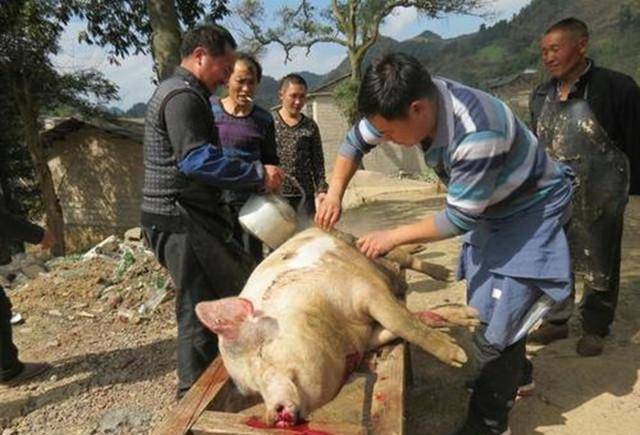 农村的屠夫，为什么大多中年就去世？民间的三种解释  屠夫 中年去世 第1张