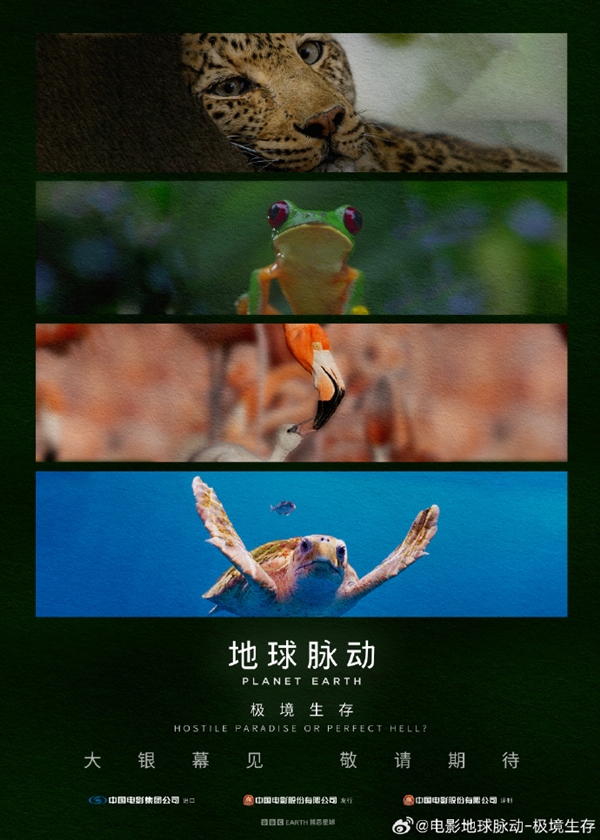 豆瓣9.7分纪录片天花板！《地球脉动》首部大电影国内定档7月27日：预告片发布 地球脉动 第2张