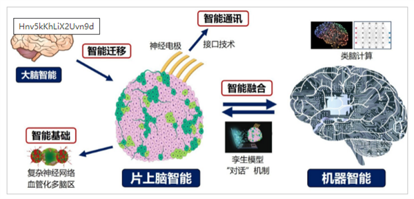 重磅研究！中国首创人脑驱动机器人 人脑驱动机器人 第2张