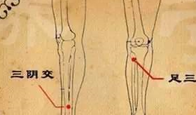 五脏六腑，解密经络拍打法，拍打拉筋法，举手疗法，拍打法，中医  经络拍打法 拍打拉筋法 举手疗法 拍打法 第3张