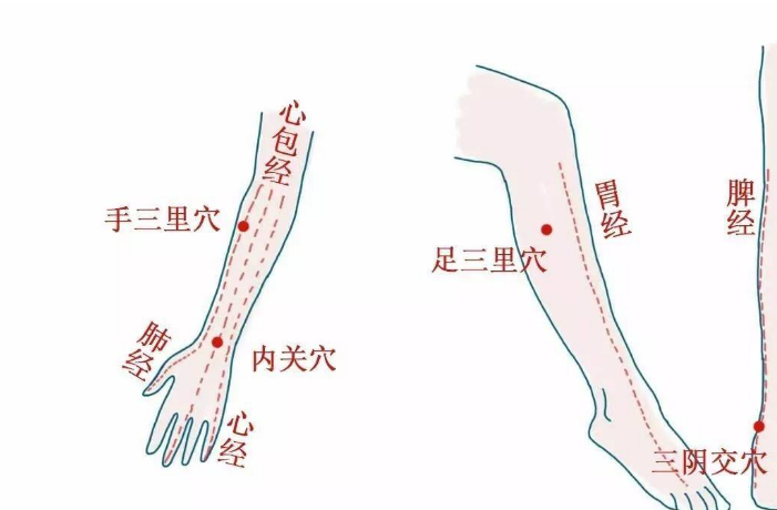 五脏六腑，解密经络拍打法，拍打拉筋法，举手疗法，拍打法，中医  经络拍打法 拍打拉筋法 举手疗法 拍打法 第5张