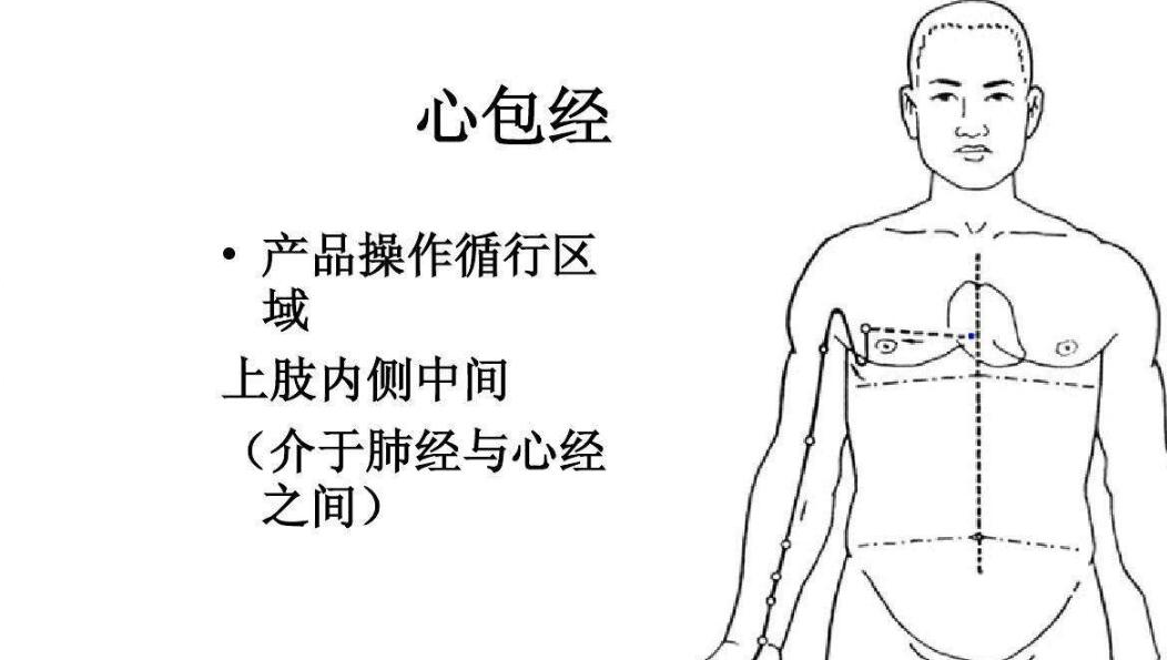 五脏六腑，解密经络拍打法，拍打拉筋法，举手疗法，拍打法，中医  经络拍打法 拍打拉筋法 举手疗法 拍打法 第6张