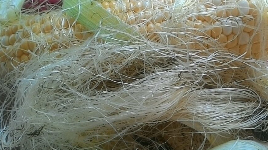 三伏天女性体内湿气重，常吃3种食物，排出毒素，帮你消除大肚腩  三伏天女性体内湿气重 消除大肚腩 第2张