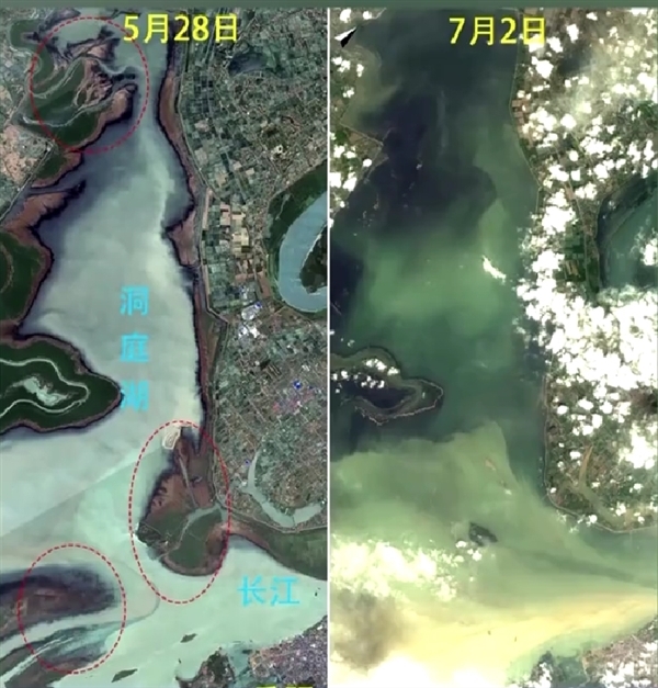 洞庭湖决堤后动物们水中求生：3只小狗站在只剩一角的房顶 洞庭湖决堤 第5张