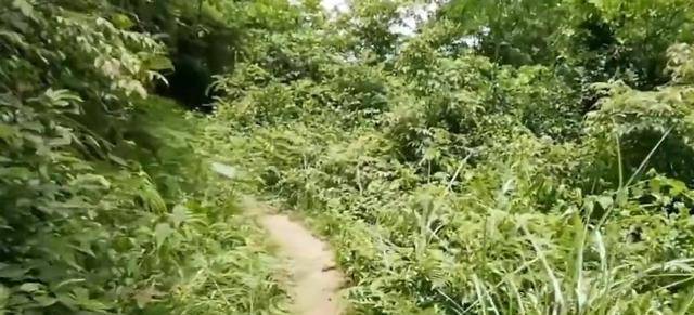  诡异的“金山”惊现上百尸骨，这些死者究竟是谁？金山有何秘密？ 金山 尸骨 第6张
