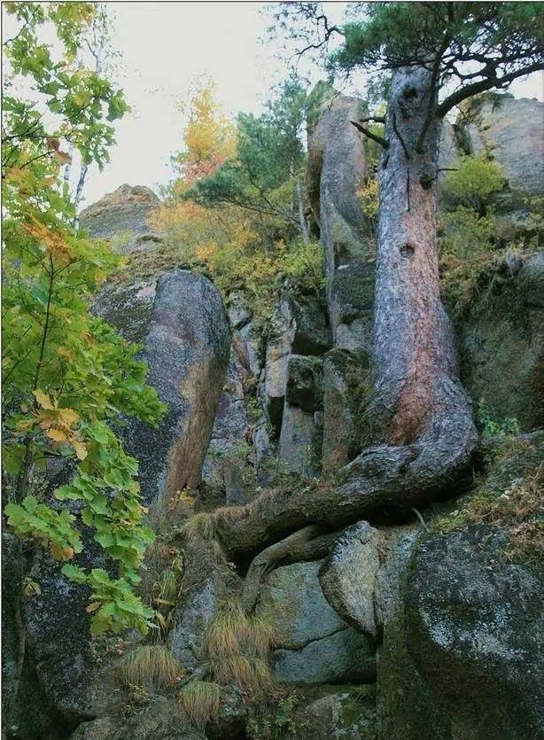  诡异的“金山”惊现上百尸骨，这些死者究竟是谁？金山有何秘密？ 金山 尸骨 第5张