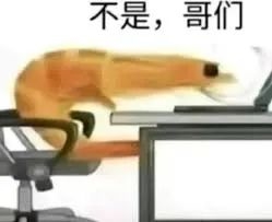 连载30年后 《圣斗士星矢》终于要完结了？ 圣斗士星矢 第6张