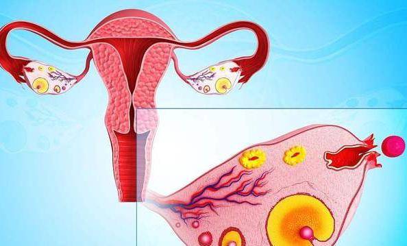 女人卖卵有什么危害？不仅仅是疼！女性要了解下  女人卖卵有什么危害 卖卵 第4张
