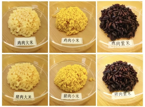 米肉合一！我国成功培育猪肉米和鸡肉米 每颗米粒自带肉香 米肉合一 猪肉米 鸡肉米 第1张