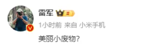 雷军要做小屏mini旗舰？但和我想象中不太一样 小屏mini旗舰 第2张